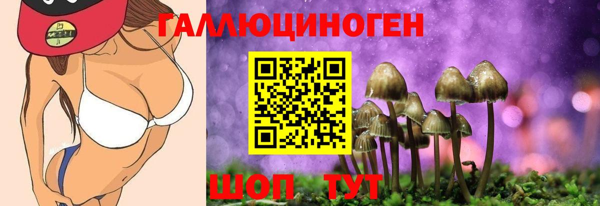Псилоцибиновые грибы Cubensis  Вход с VPN  что такое   Усть-Илимск 